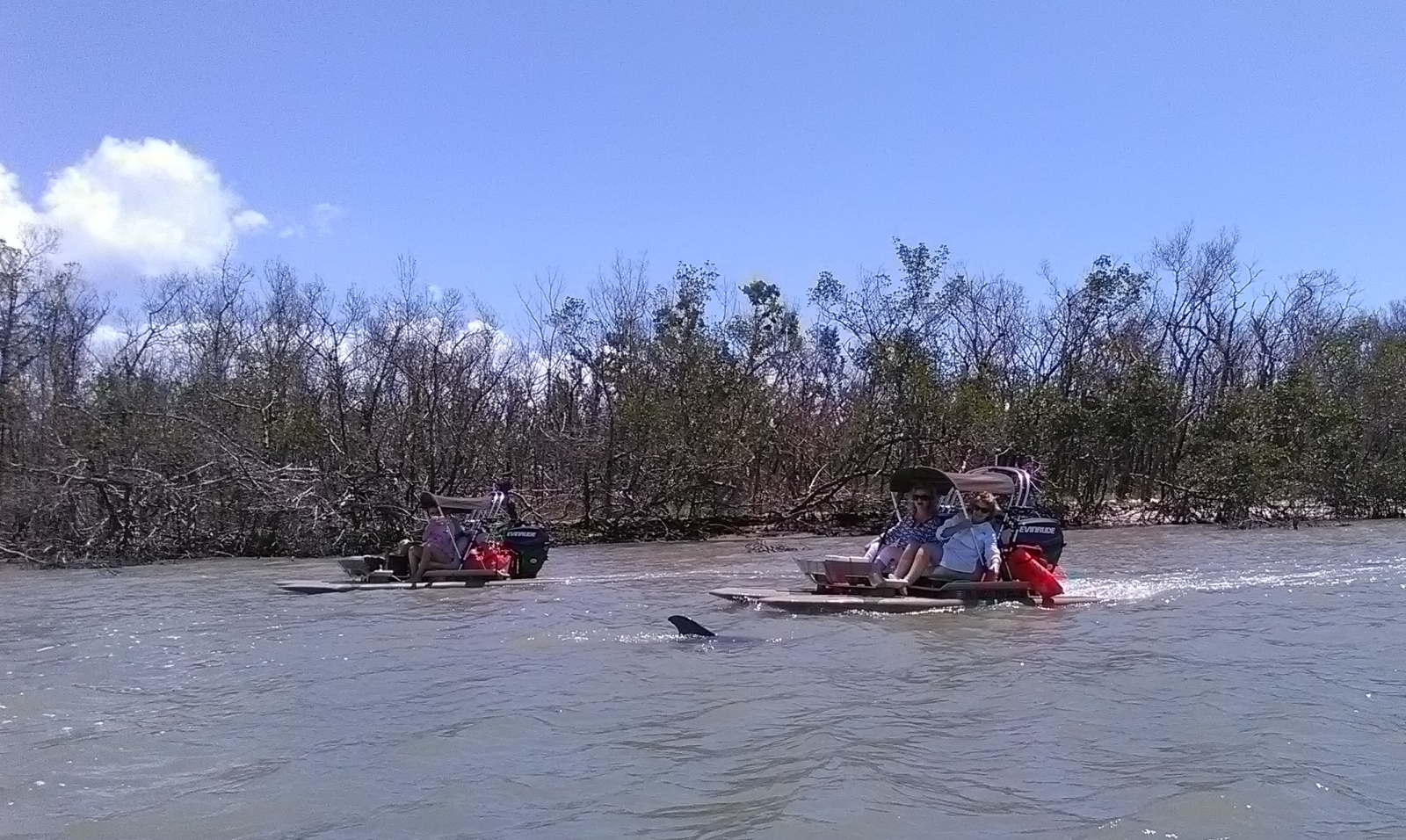 Boat tours Marco Island and Naples