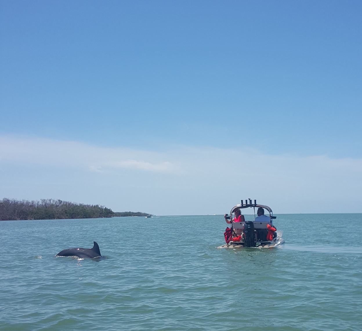 Boat tours Marco Island and Naples